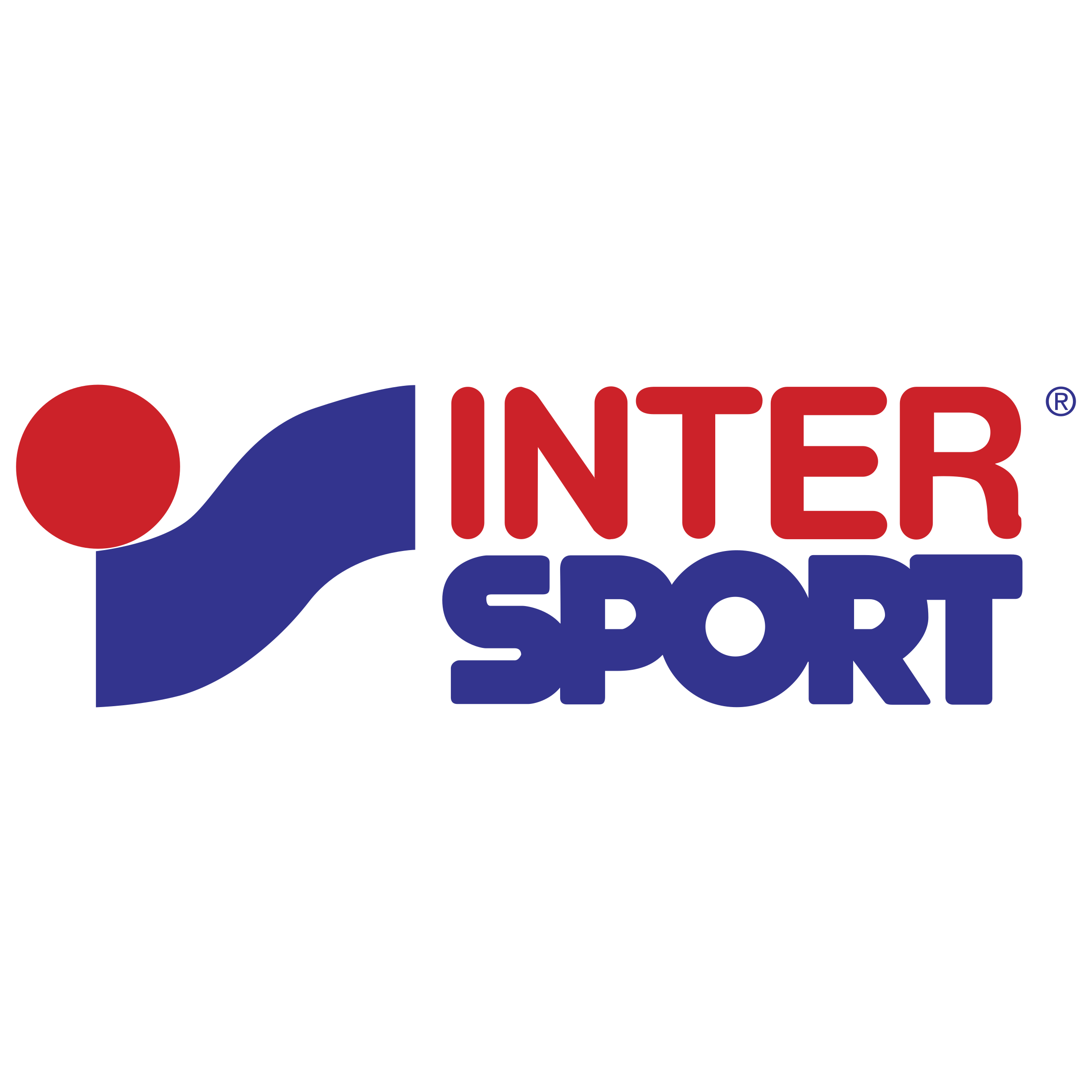 Logo Intersport, nous a fait confiance pour leur projet d'installation de bornes de recharge